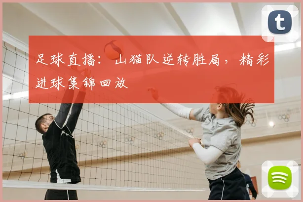 足球直播：山猫队逆转胜局，精彩进球集锦回放