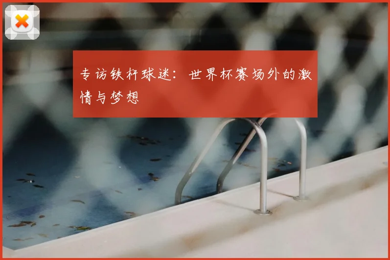 专访铁杆球迷：世界杯赛场外的激情与梦想